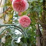 La Casa Del Giardiniere *