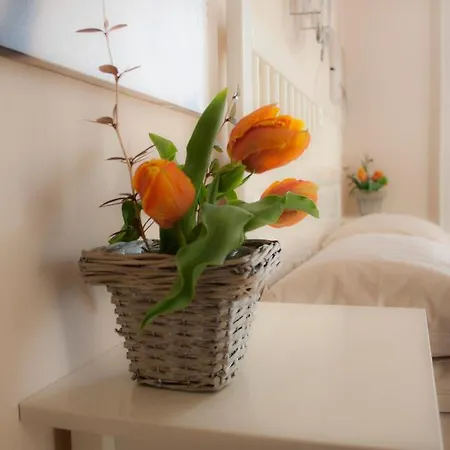 La Casa Del Giardiniere Zero Branco