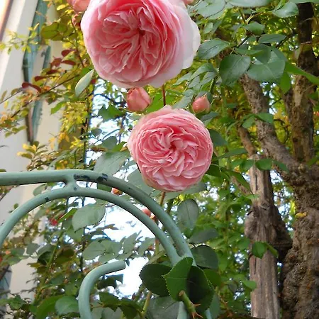 La Casa Del Giardiniere *