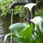 度假居 拉甘瑟德吉迪尼尔住宿加早餐旅馆 *