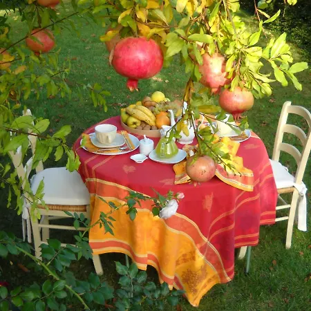 La Casa Del Giardiniere 펜션 체로브란코
