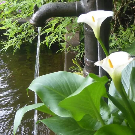 펜션 La Casa Del Giardiniere *