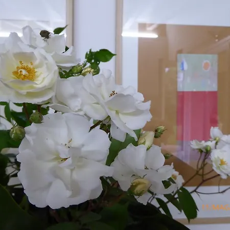 La Casa Del Giardiniere 펜션 *